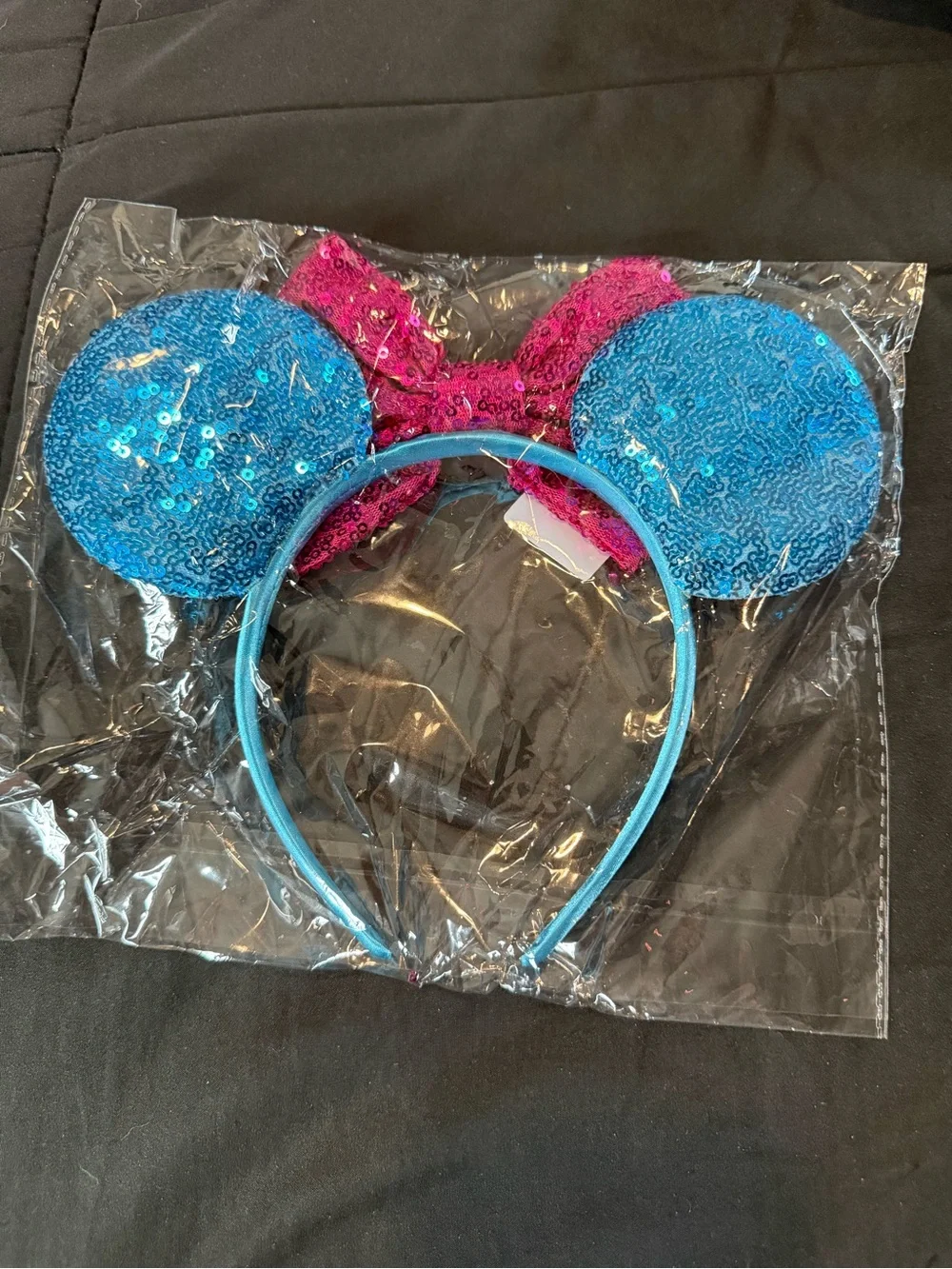 Sully Mickey Ears
